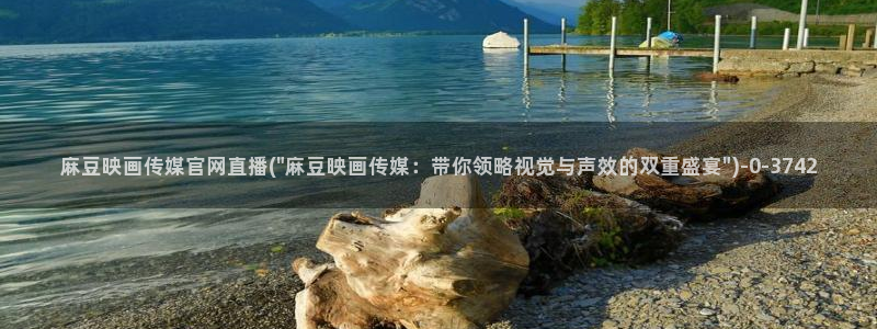 麻豆传媒直播官网小说:麻豆映画传媒官网直播(\