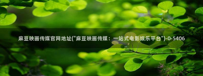 麻豆剪映传媒官网:麻豆映画传媒官网地址(\